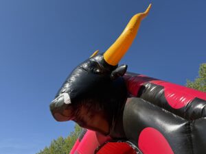 Compact glijbaan stier