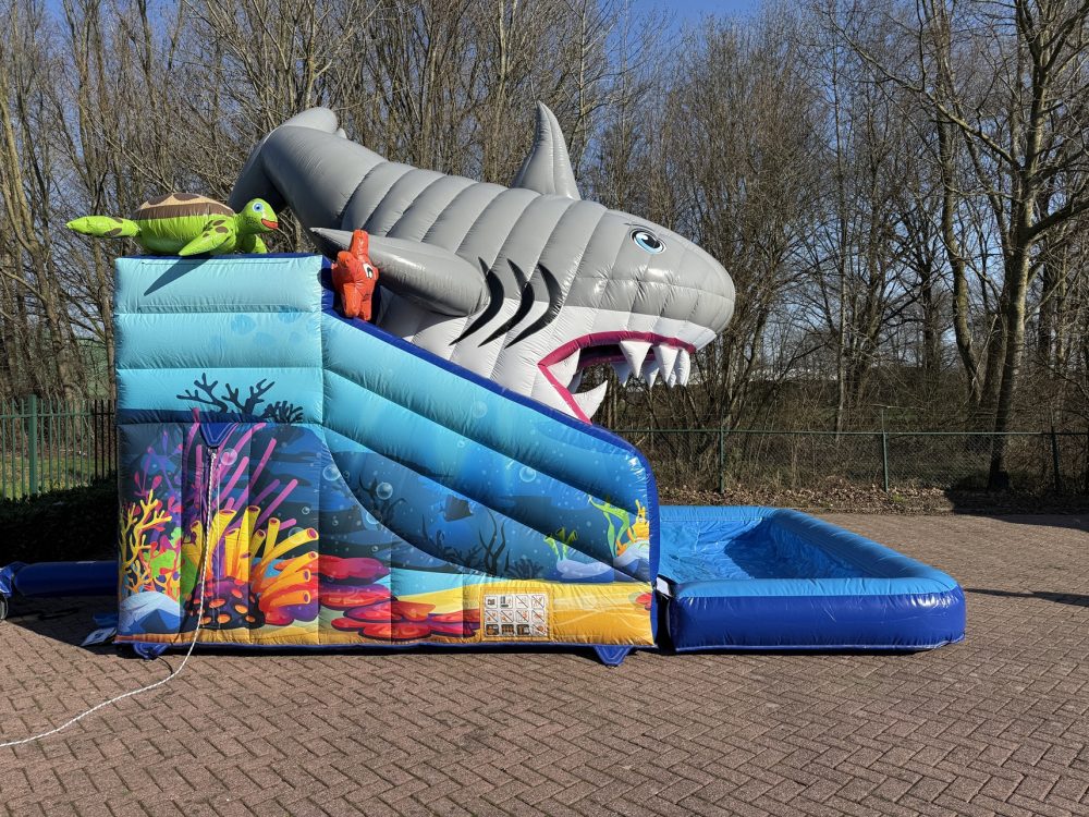 Compact Slide Haai kopen IV